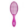 Wet Brush Speed Dry, violetinis